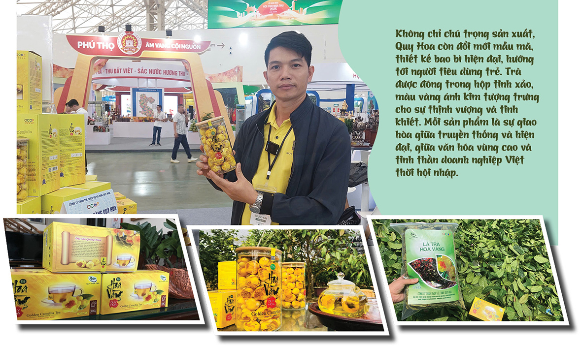 Longform | Trà hoa vàng Quy Hoa: Khát vọng vươn tầm thế giới - 6