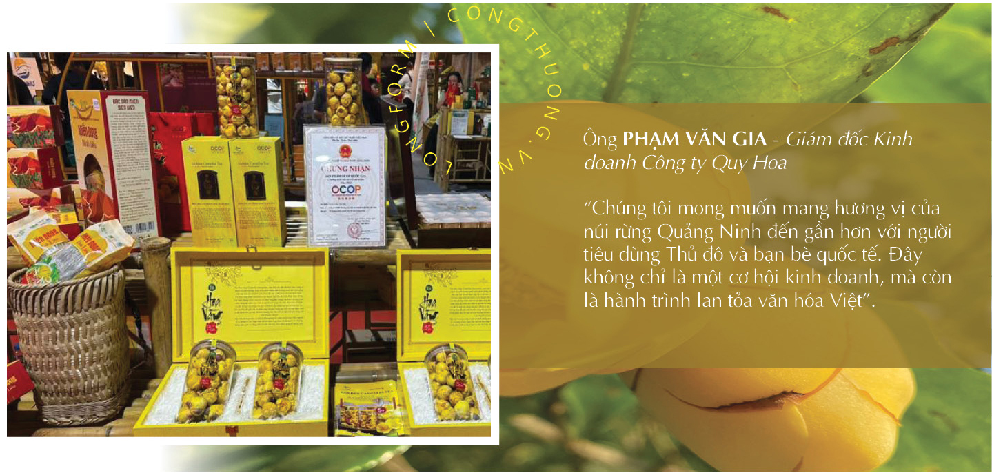 Longform | Trà hoa vàng Quy Hoa: Khát vọng vươn tầm thế giới - 2