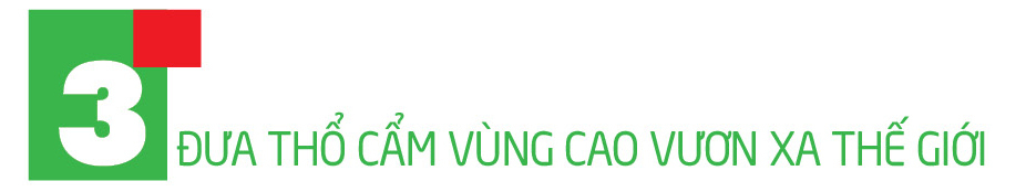 Longform | Thổ cẩm Pa Thơm: Sắc màu dân tộc lan tỏa Hội chợ Mùa Thu - 7