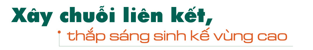 Longform | Xây dựng chuỗi liên kế, mở đường cho sợi chuối vùng cao - 4
