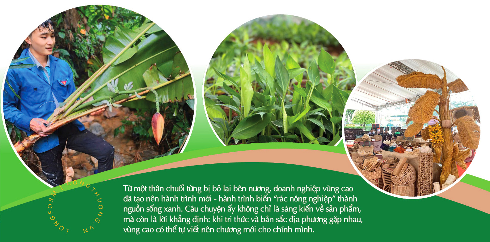 Longform | Xây dựng chuỗi liên kế, mở đường cho sợi chuối vùng cao - 2