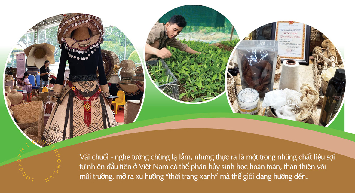 Longform | Xây dựng chuỗi liên kế, mở đường cho sợi chuối vùng cao - 3