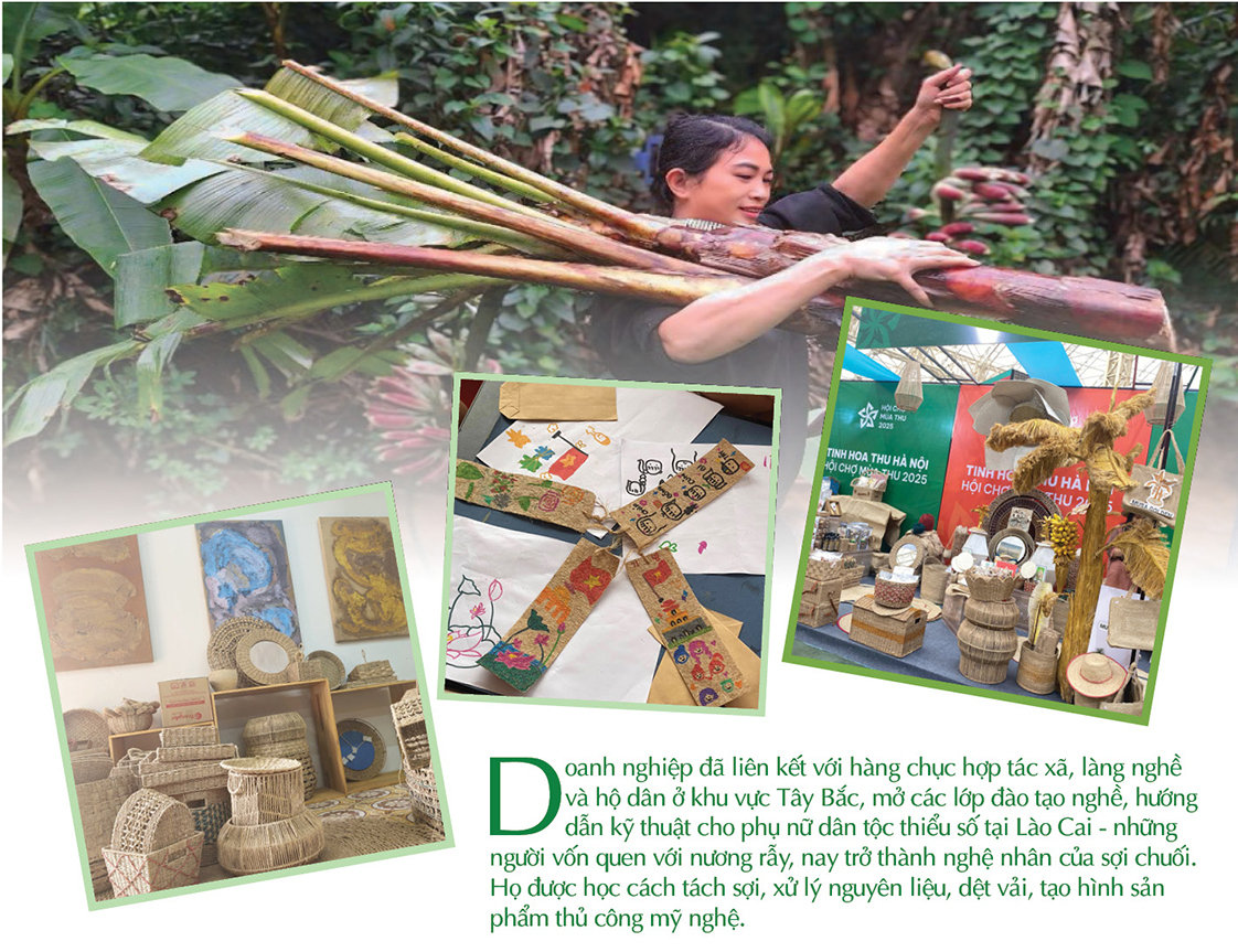 Longform | Xây dựng chuỗi liên kế, mở đường cho sợi chuối vùng cao - 5