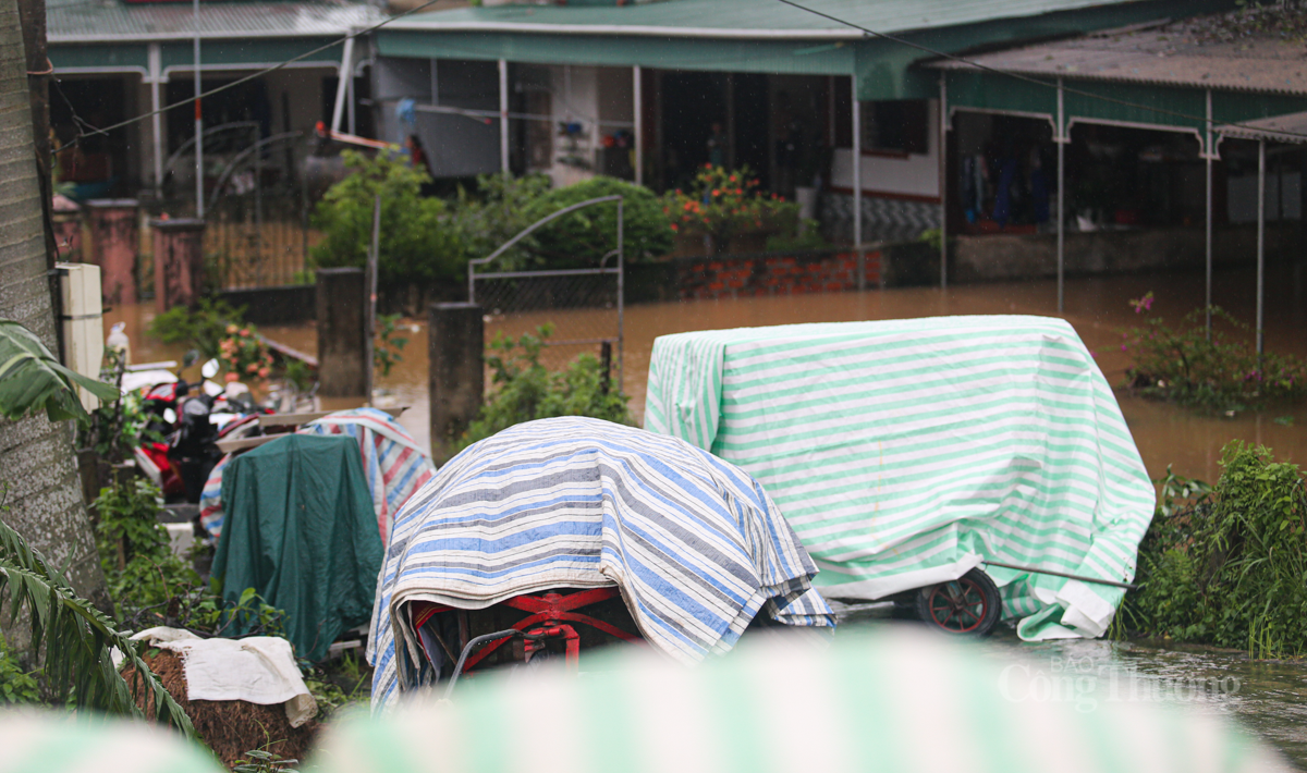 Người dân Hà Tĩnh hối hả đưa ‘xế hộp’ lên đê chạy lụt - 8