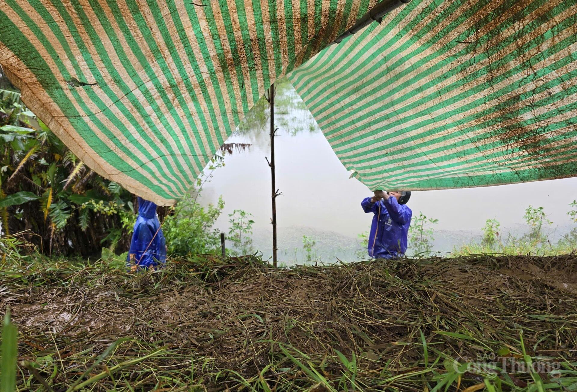 Người dân Hà Tĩnh hối hả đưa ‘xế hộp’ lên đê chạy lụt - 12