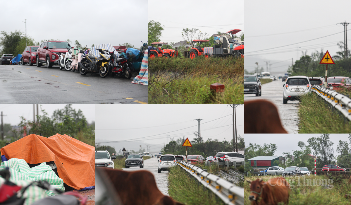 Người dân Hà Tĩnh hối hả đưa ‘xế hộp’ lên đê chạy lụt - 5