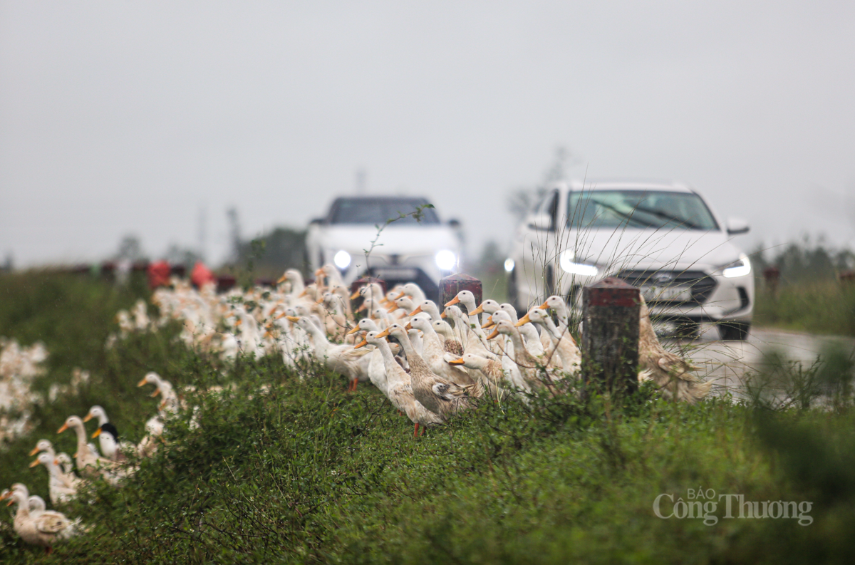 Người dân Hà Tĩnh hối hả đưa ‘xế hộp’ lên đê chạy lụt - 7