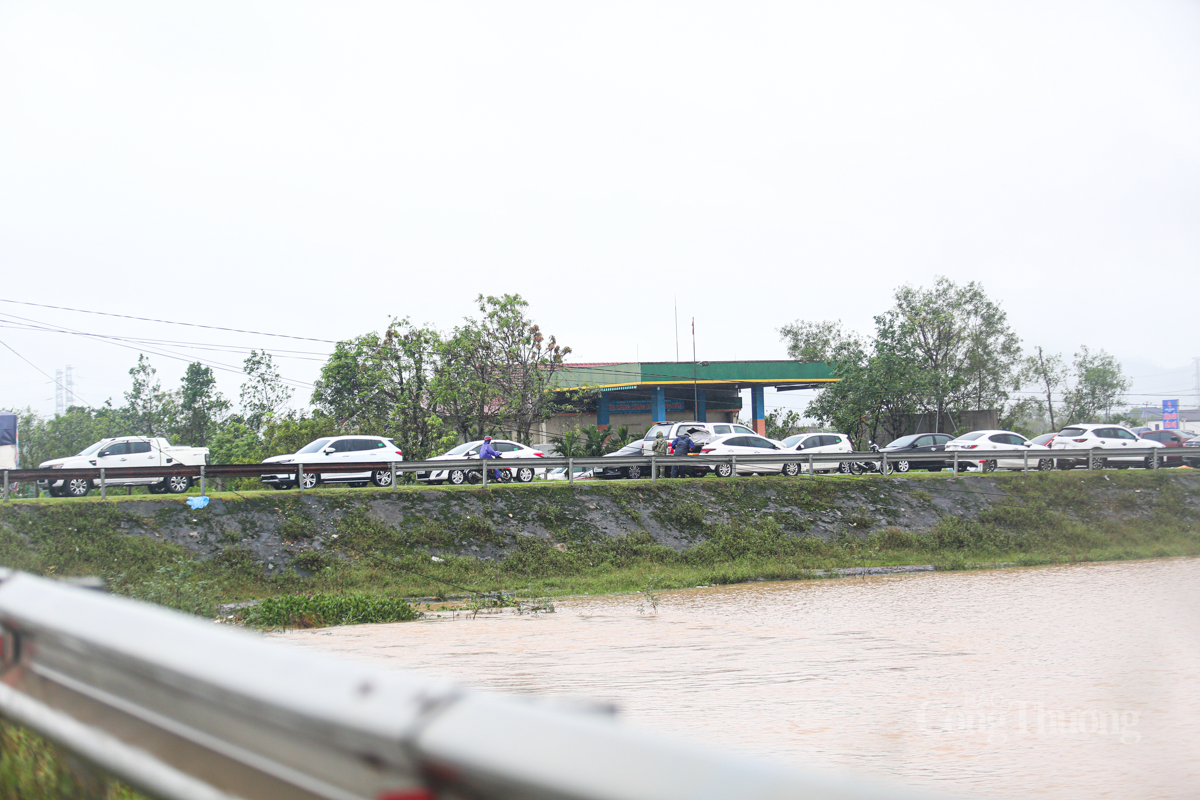 Người dân Hà Tĩnh hối hả đưa ‘xế hộp’ lên đê chạy lụt - 9