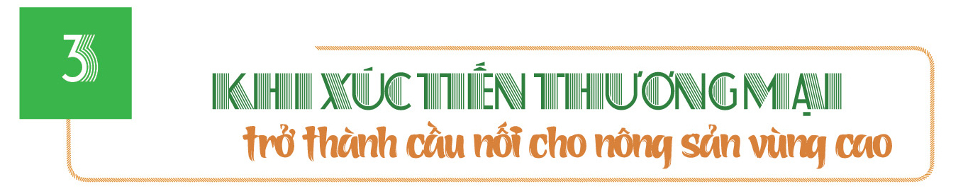 Longform | La Bằng: Nơi hương trà 'thức giấc' giữa lòng Hà Nội - 7