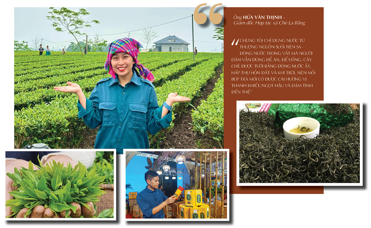 Longform | La Bằng: Nơi hương trà 'thức giấc' giữa lòng Hà Nội - 3