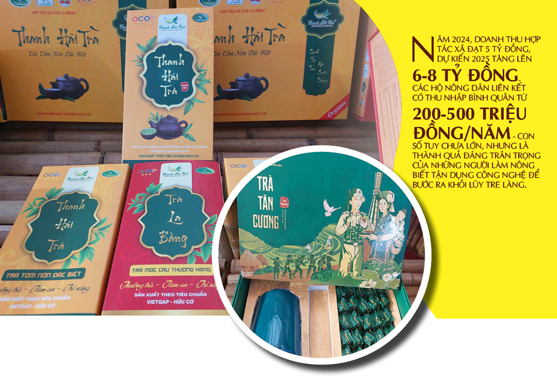 Longform | La Bằng: Nơi hương trà 'thức giấc' giữa lòng Hà Nội - 6