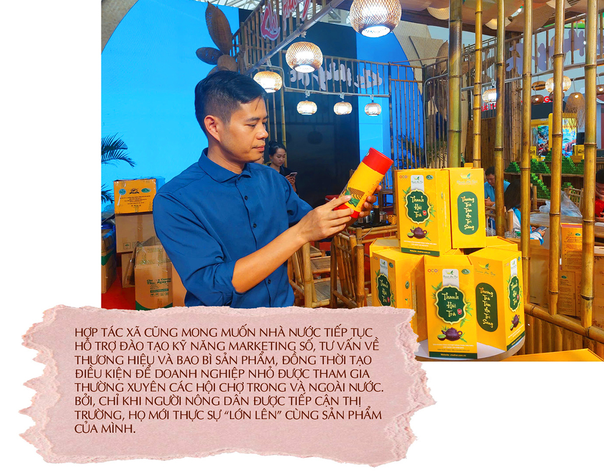 Longform | La Bằng: Nơi hương trà 'thức giấc' giữa lòng Hà Nội - 8