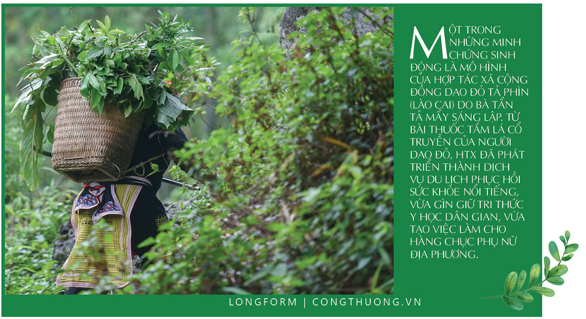 Longform | Du lịch ‘mở lối’ tiêu thụ sản phẩm vùng cao - 3
