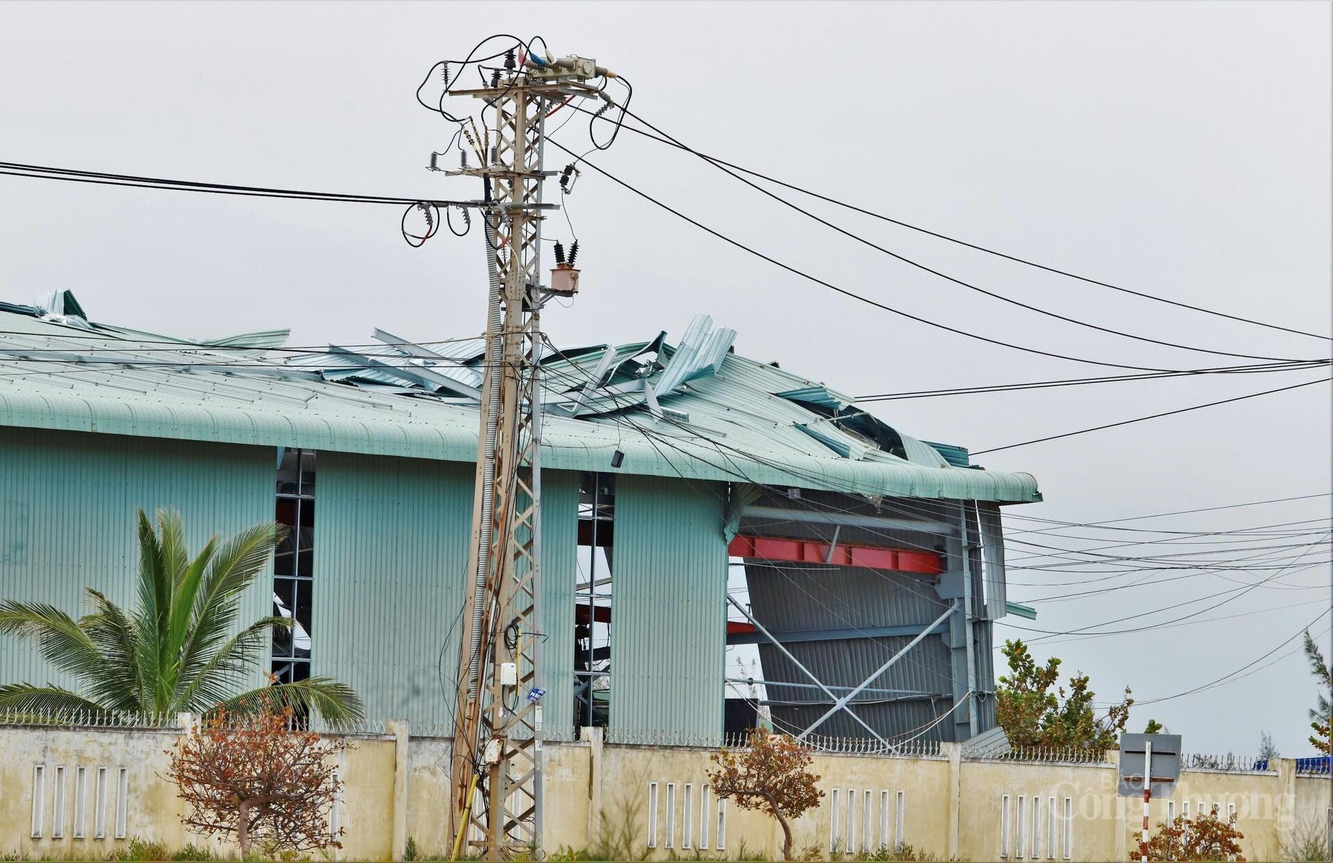 Gia Lai: Khẩn trương phục hồi sản xuất sau bão - 12