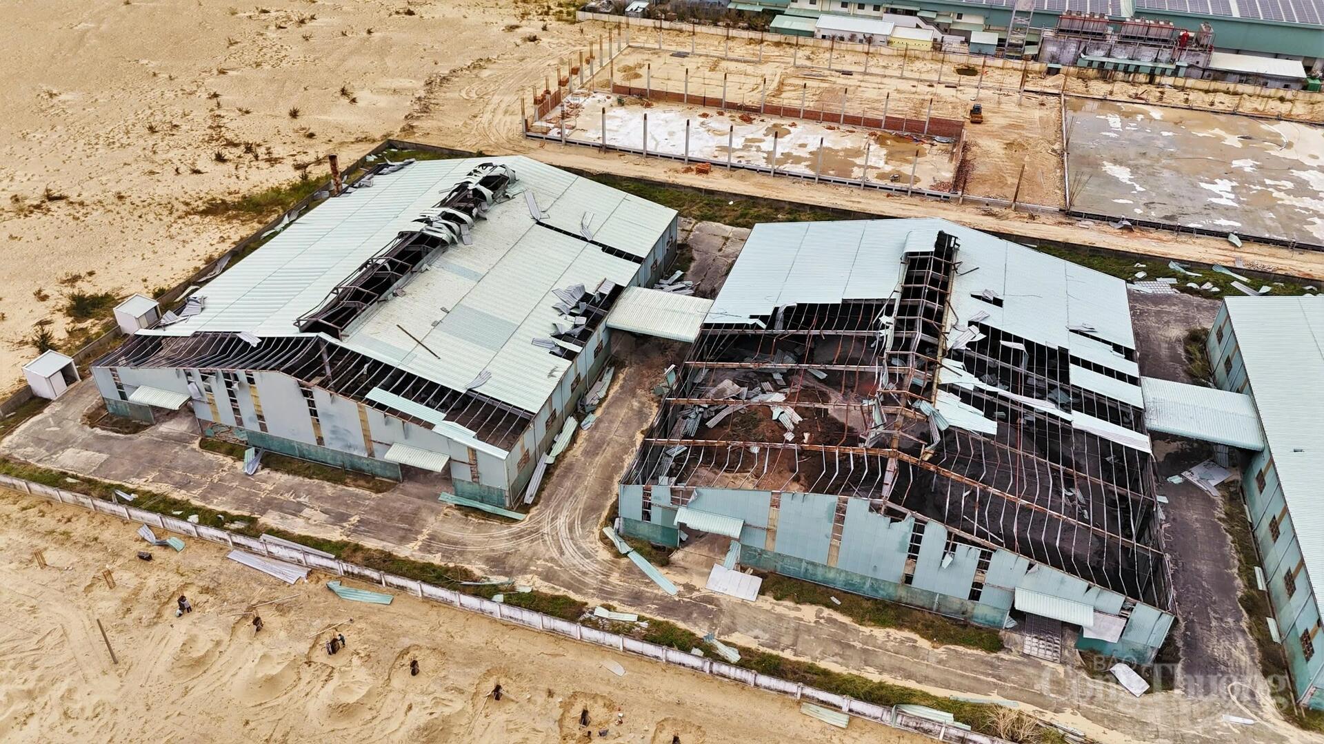 Gia Lai: Khẩn trương phục hồi sản xuất sau bão - 3