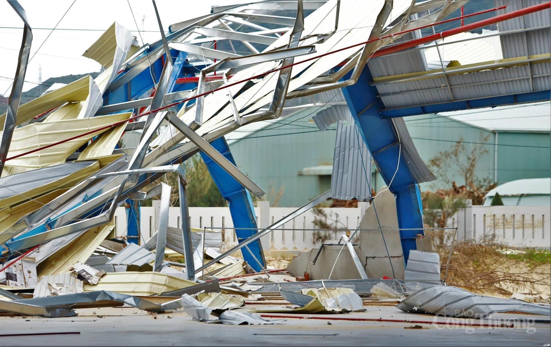 Gia Lai: Khẩn trương phục hồi sản xuất sau bão - 6