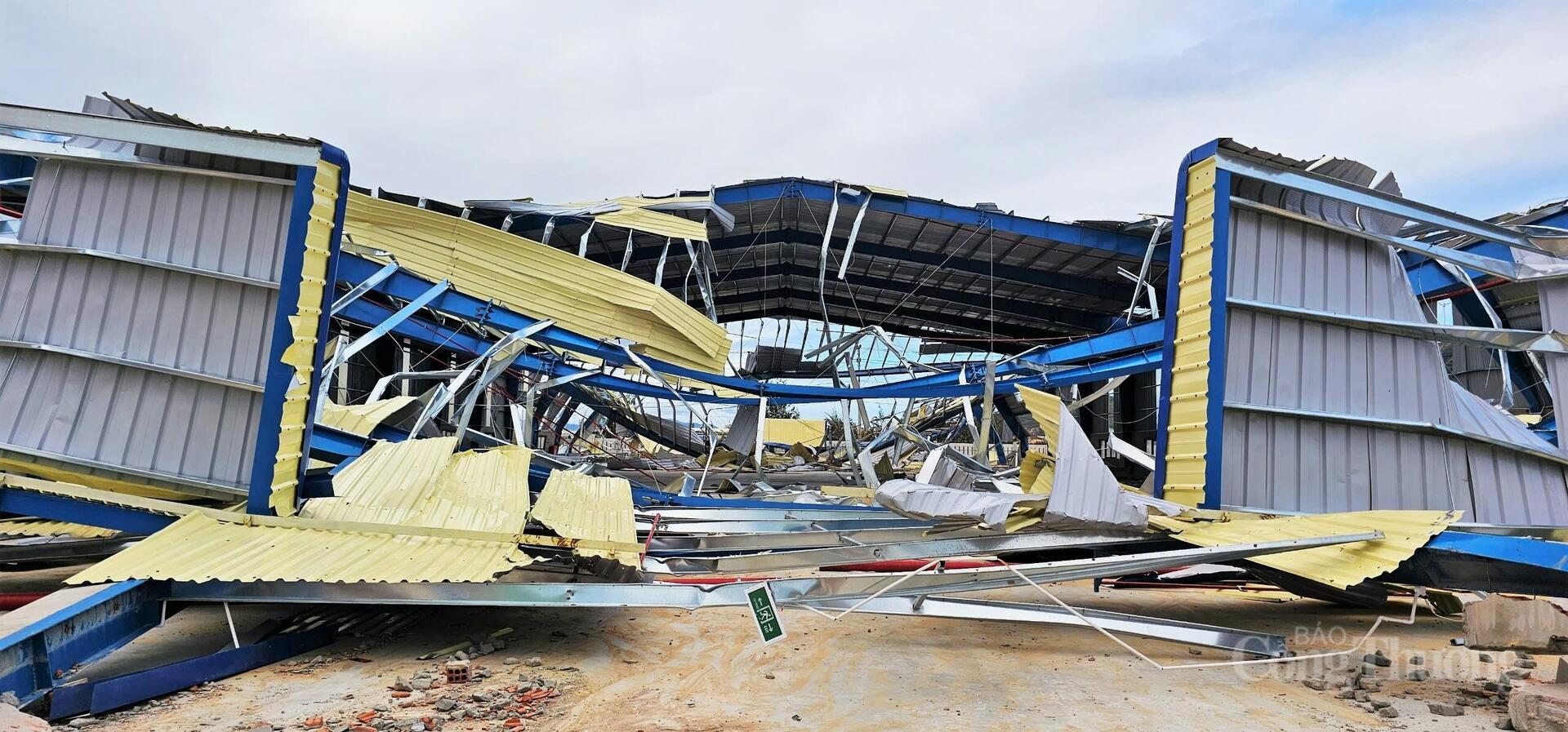 Gia Lai: Khẩn trương phục hồi sản xuất sau bão - 8