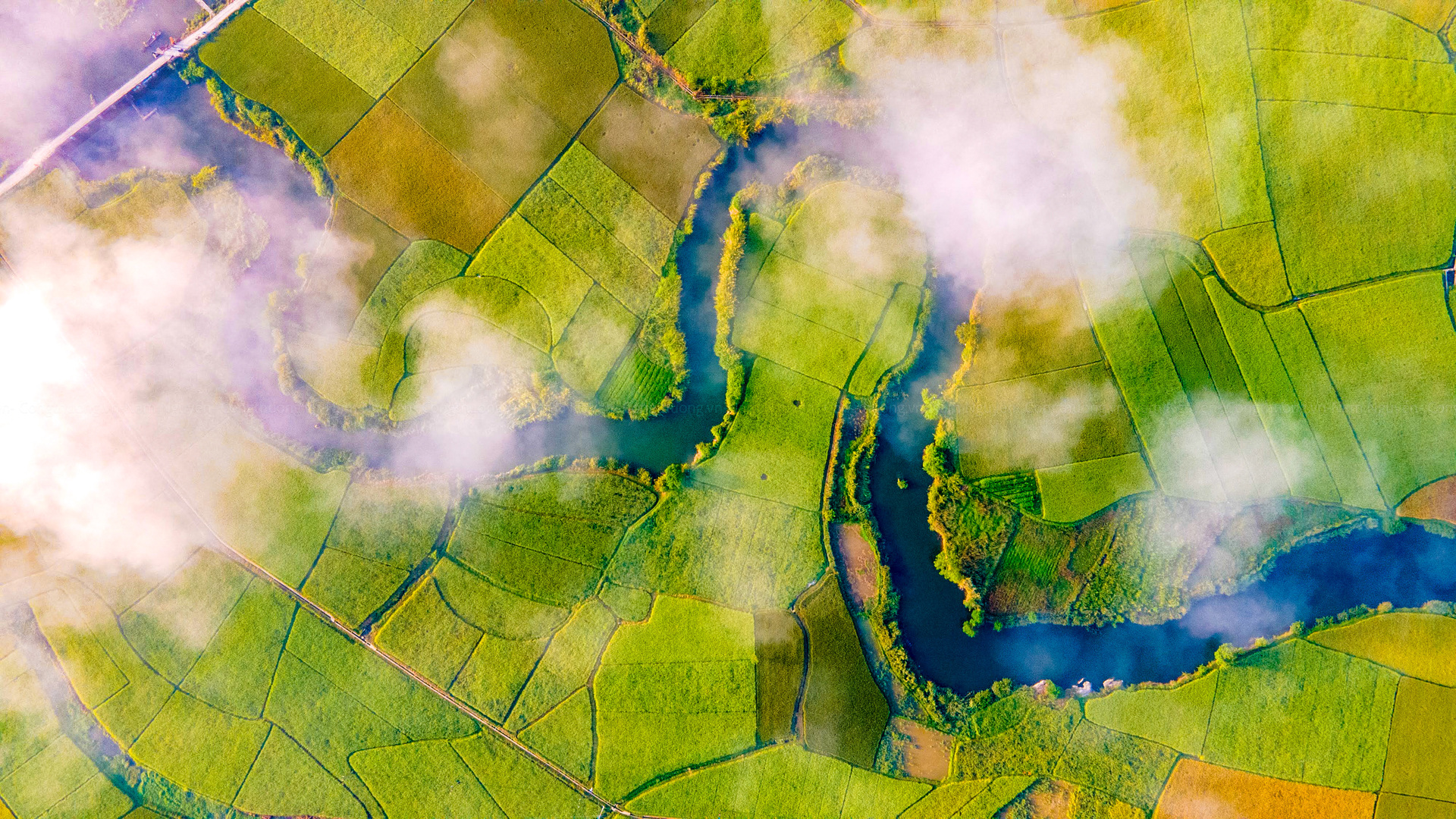 Khung cảnh làng quê mùa thu hoạch mang vẻ bình yên mà cuốn hút đến lạ kỳ. Một lần ghé qua, bạn sẽ dễ dàng say mê và chẳng nỡ rời bước.