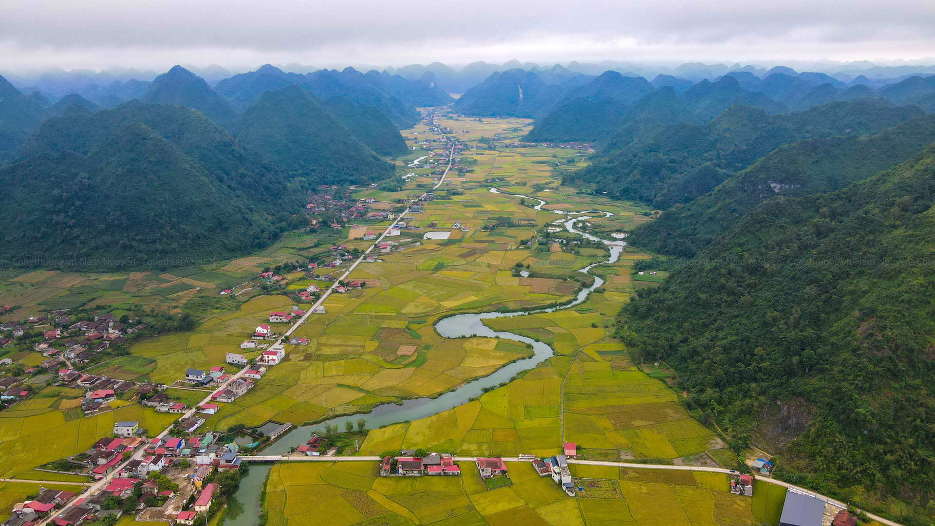 Du khách sẽ được chiêm ngưỡng toàn bộ thung lũng rộng lớn với sắc vàng óng của lúa chín xen kẽ với màu xanh mát của mạ non.