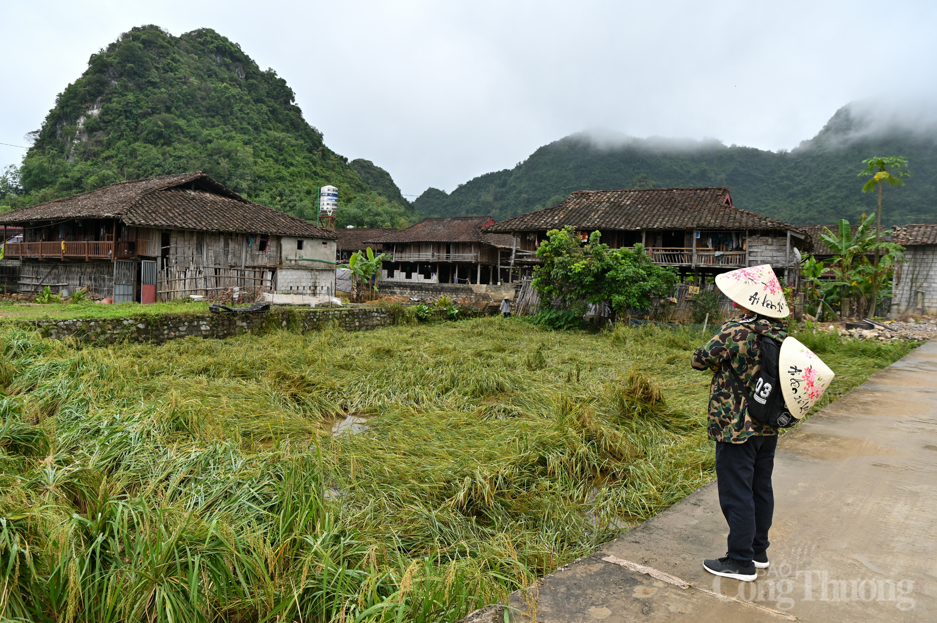 Lạc bước giữa làng cổ Quỳnh Sơn trong mây trắng Bắc Sơn - 12