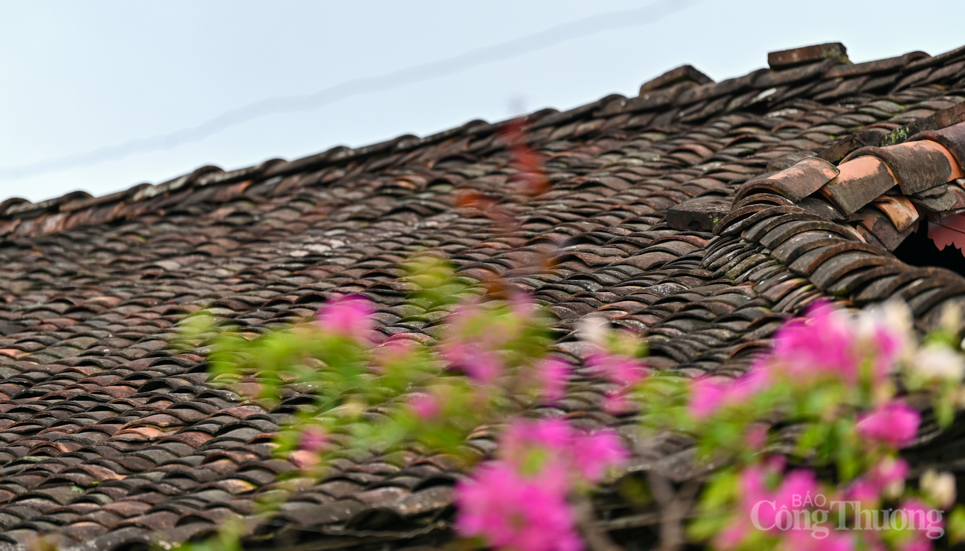 Lạc bước giữa làng cổ Quỳnh Sơn trong mây trắng Bắc Sơn - 9