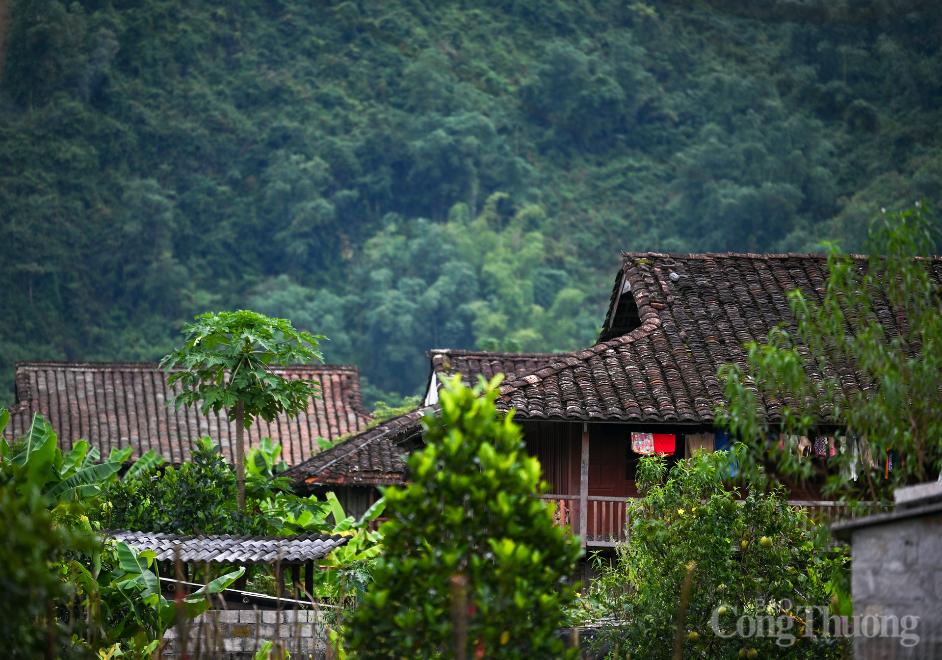 Lạc bước giữa làng cổ Quỳnh Sơn trong mây trắng Bắc Sơn - 15