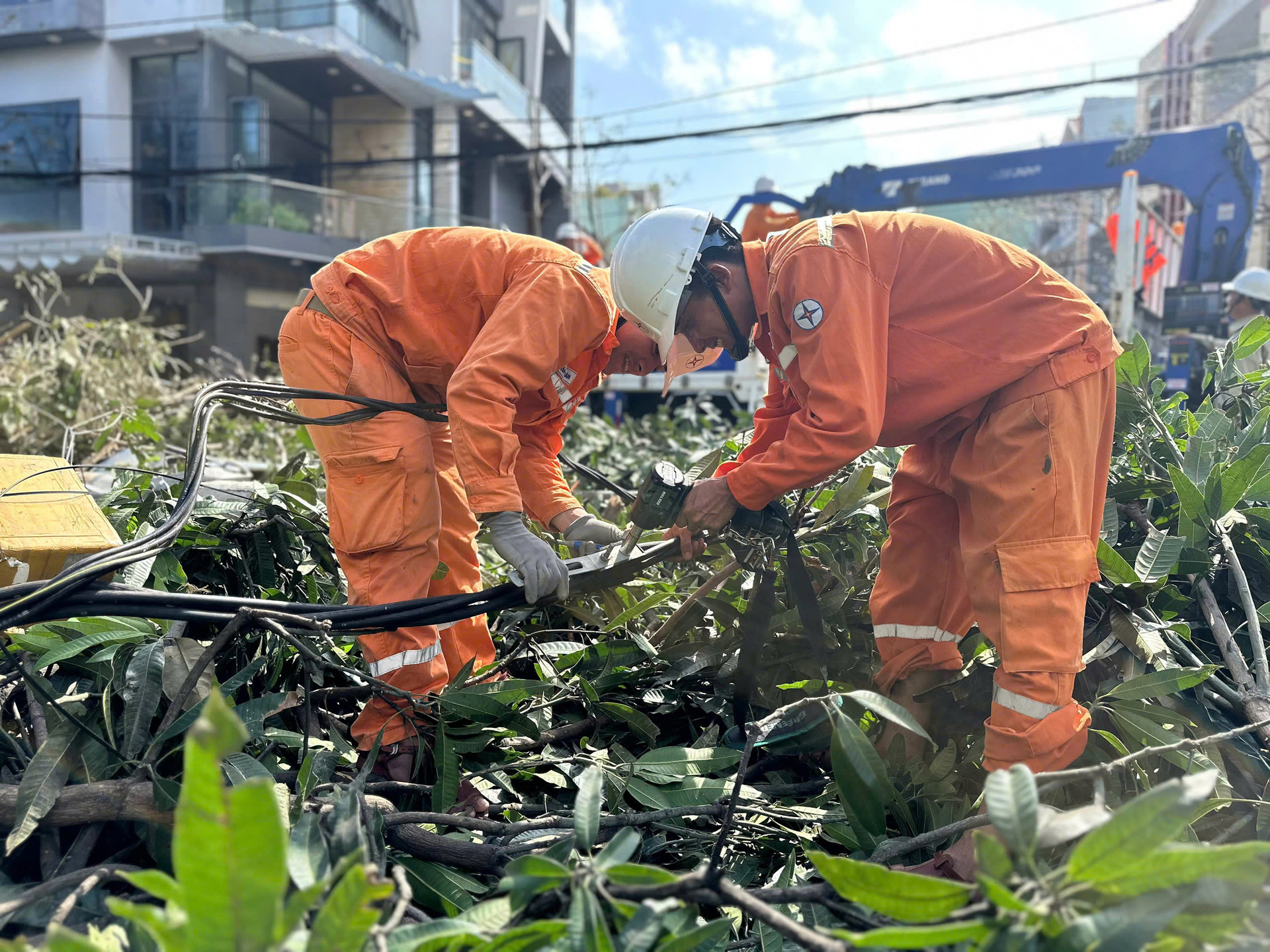 Thần tốc ‘nối điện’ sau bão lũ miền Trung - Bài 1: Chỉ đạo nóng từ lãnh đạo EVNCPC - 13