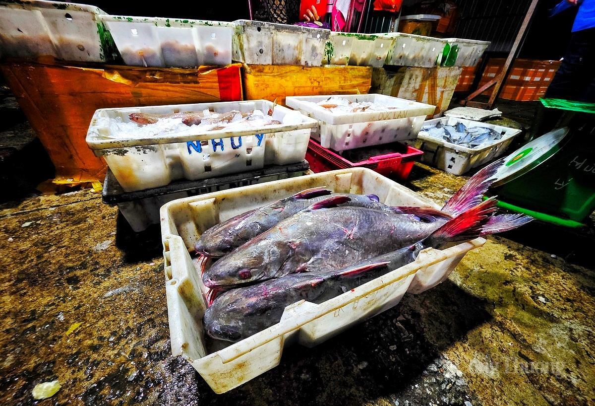 Nhộn nhịp chợ cá lớn nhất Hà Tĩnh sau những ngày mưa lũ - 14