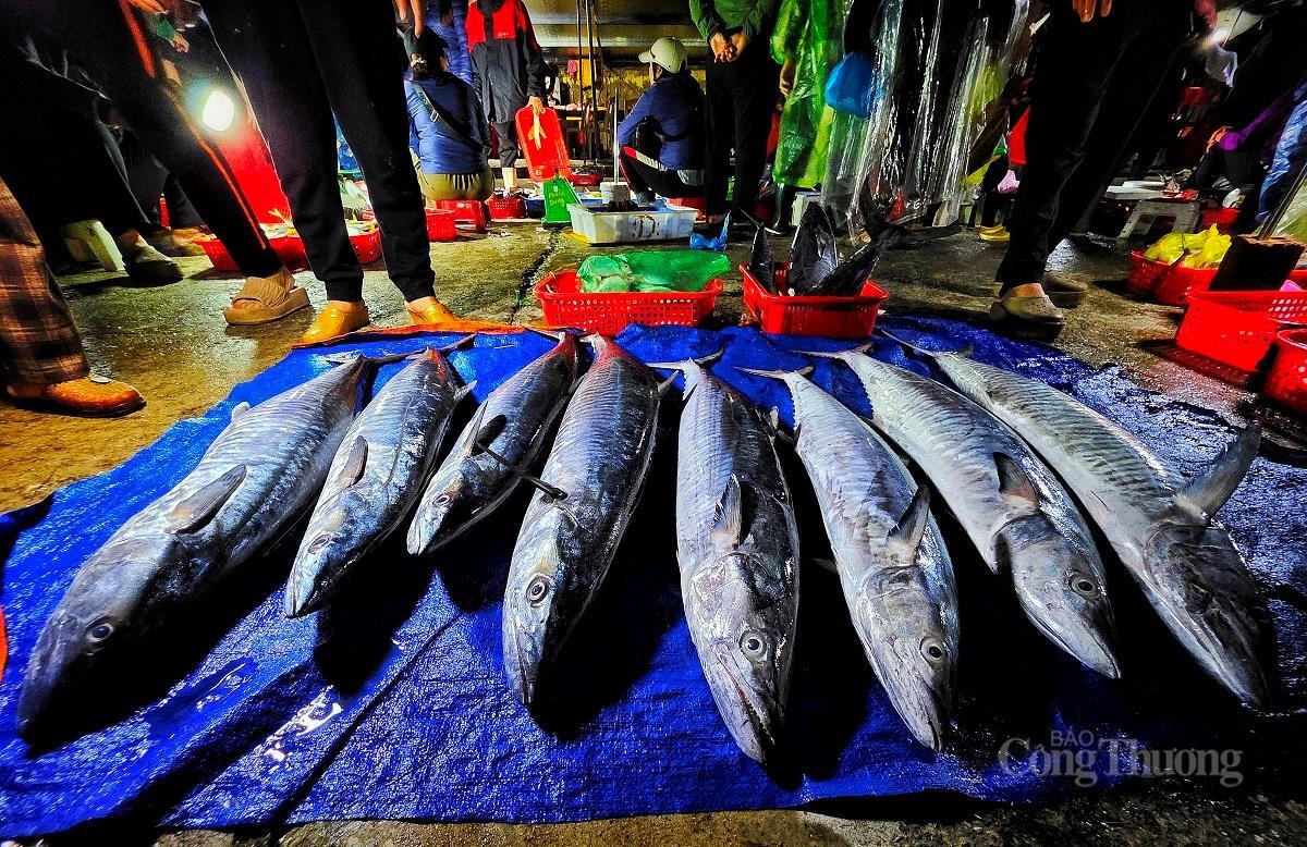 Nhộn nhịp chợ cá lớn nhất Hà Tĩnh sau những ngày mưa lũ - 5