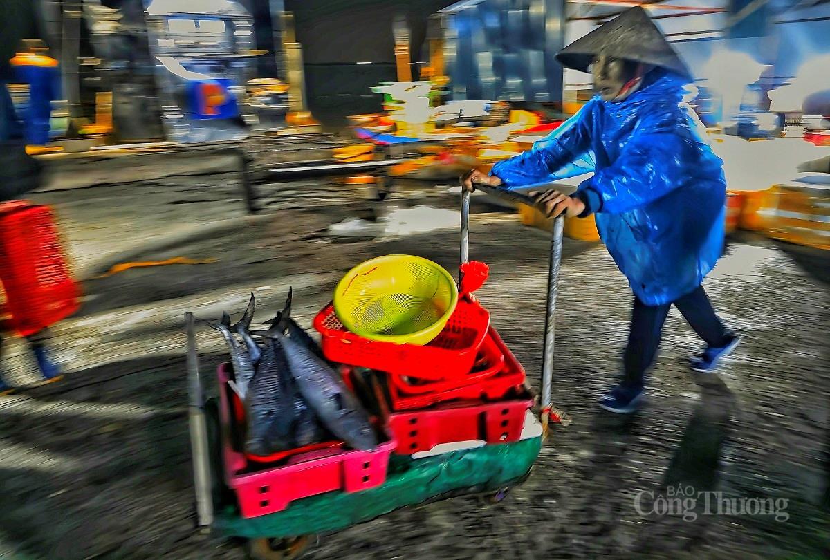 Nhộn nhịp chợ cá lớn nhất Hà Tĩnh sau những ngày mưa lũ - 12