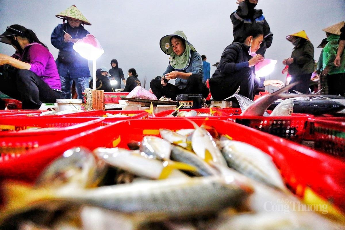 Nhộn nhịp chợ cá lớn nhất Hà Tĩnh sau những ngày mưa lũ - 9