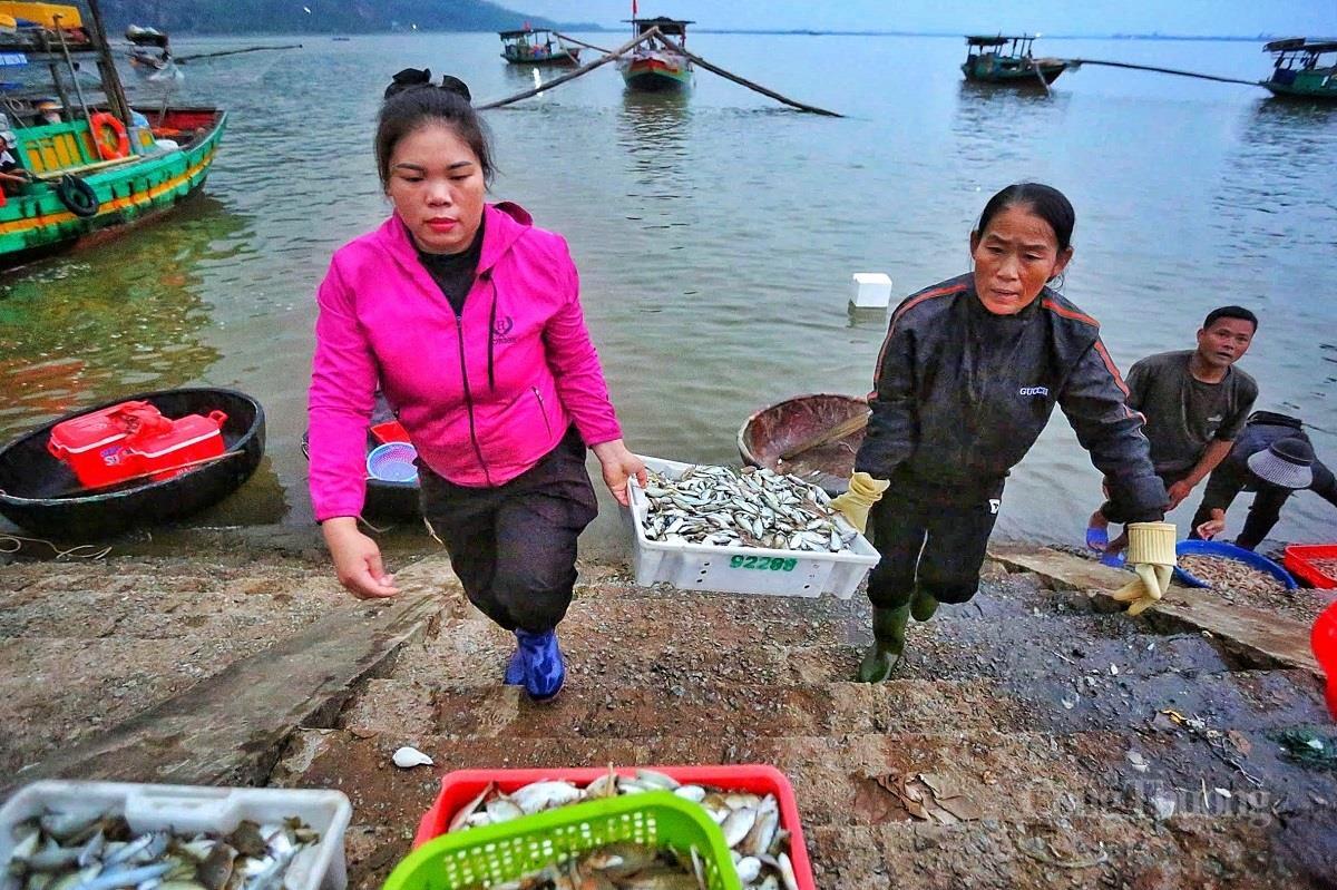 Nhộn nhịp chợ cá lớn nhất Hà Tĩnh sau những ngày mưa lũ - 11