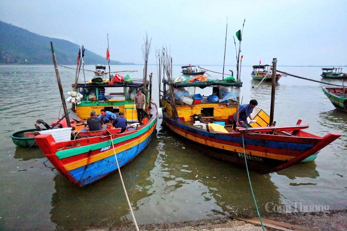 Nhộn nhịp chợ cá lớn nhất Hà Tĩnh sau những ngày mưa lũ - 2