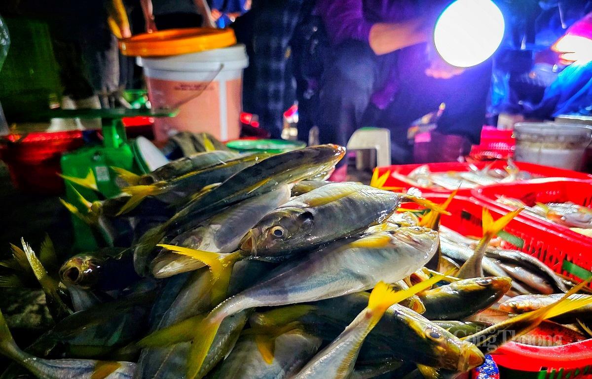 Nhộn nhịp chợ cá lớn nhất Hà Tĩnh sau những ngày mưa lũ - 15