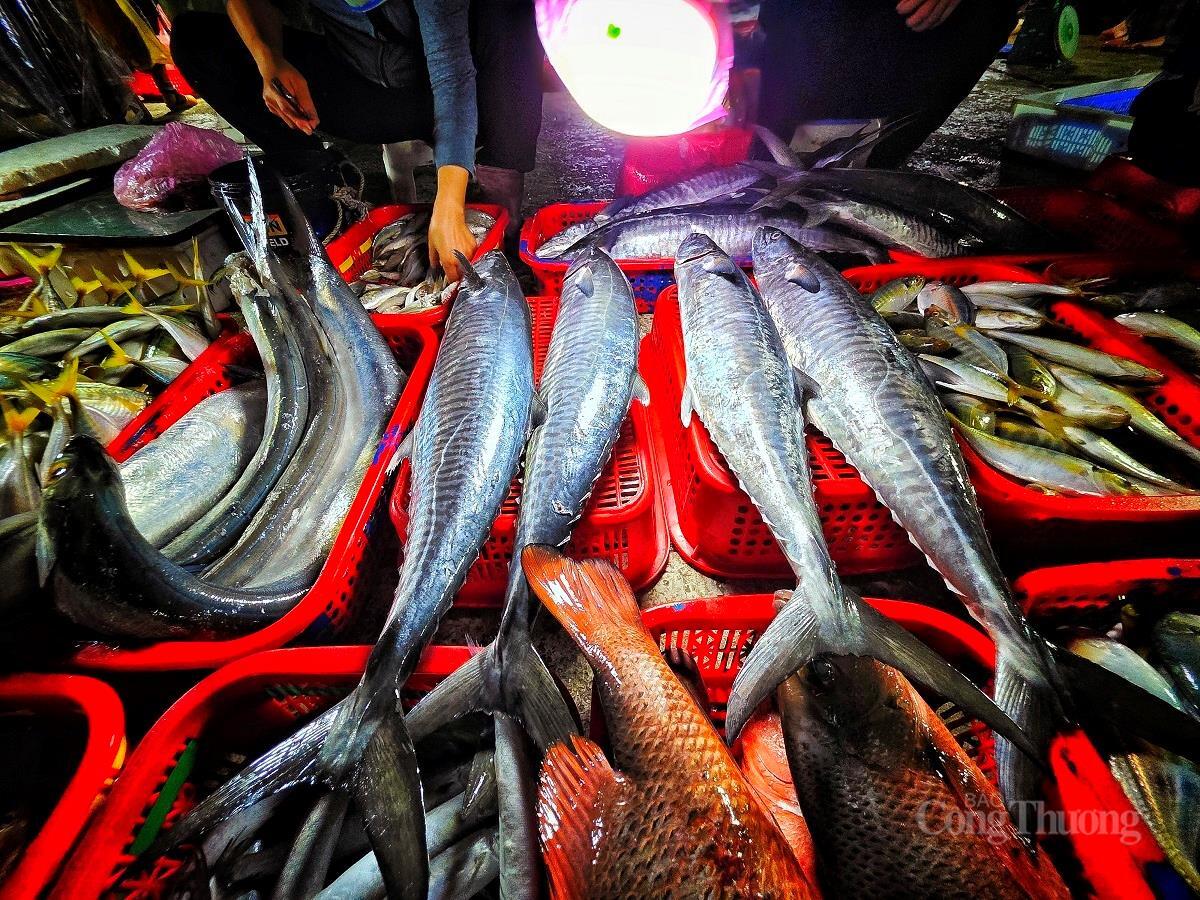 Nhộn nhịp chợ cá lớn nhất Hà Tĩnh sau những ngày mưa lũ - 16