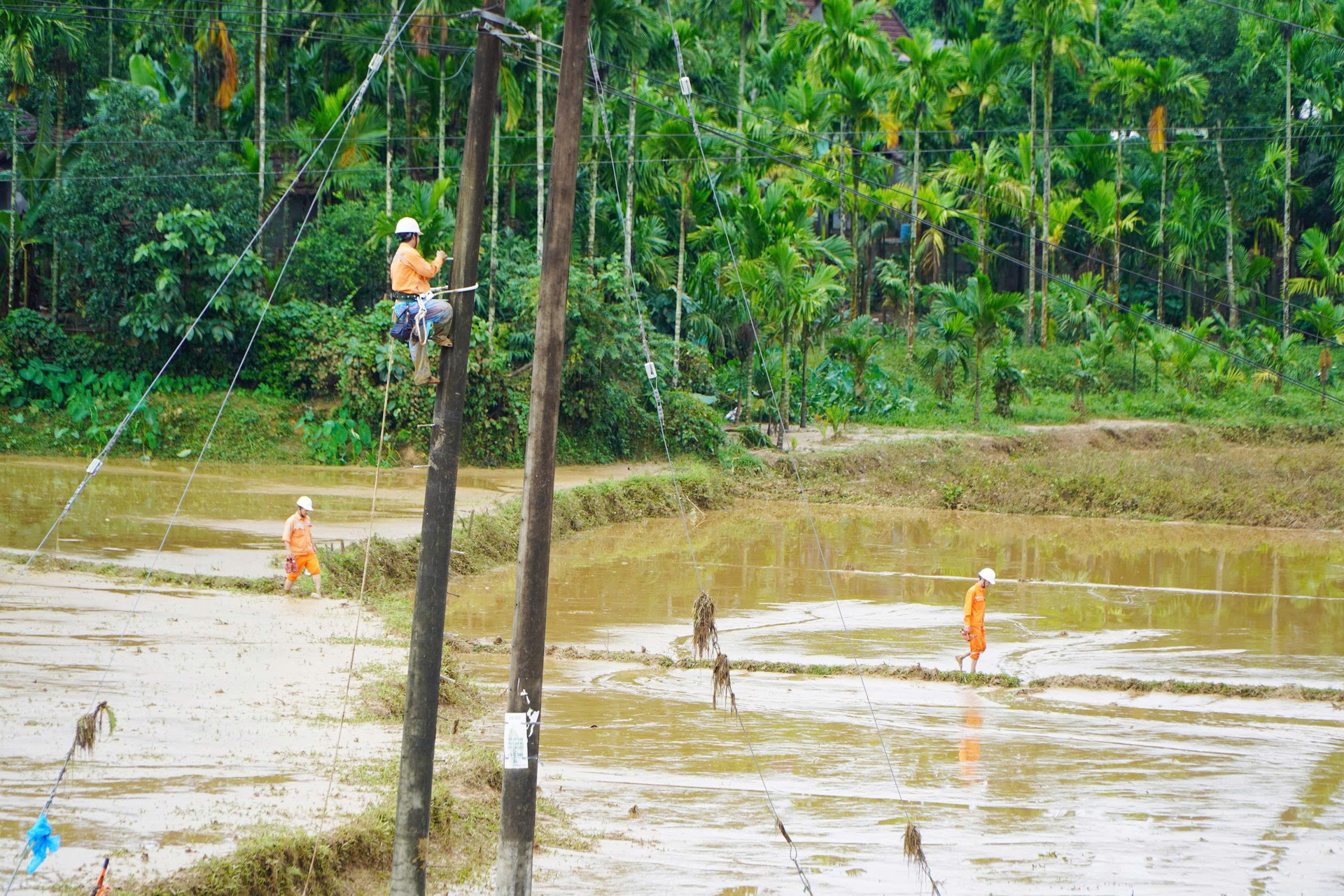Thần tốc 'nối điện' sau bão lũ miền Trung - Bài cuối: Vì dòng điện sáng mãi - 11