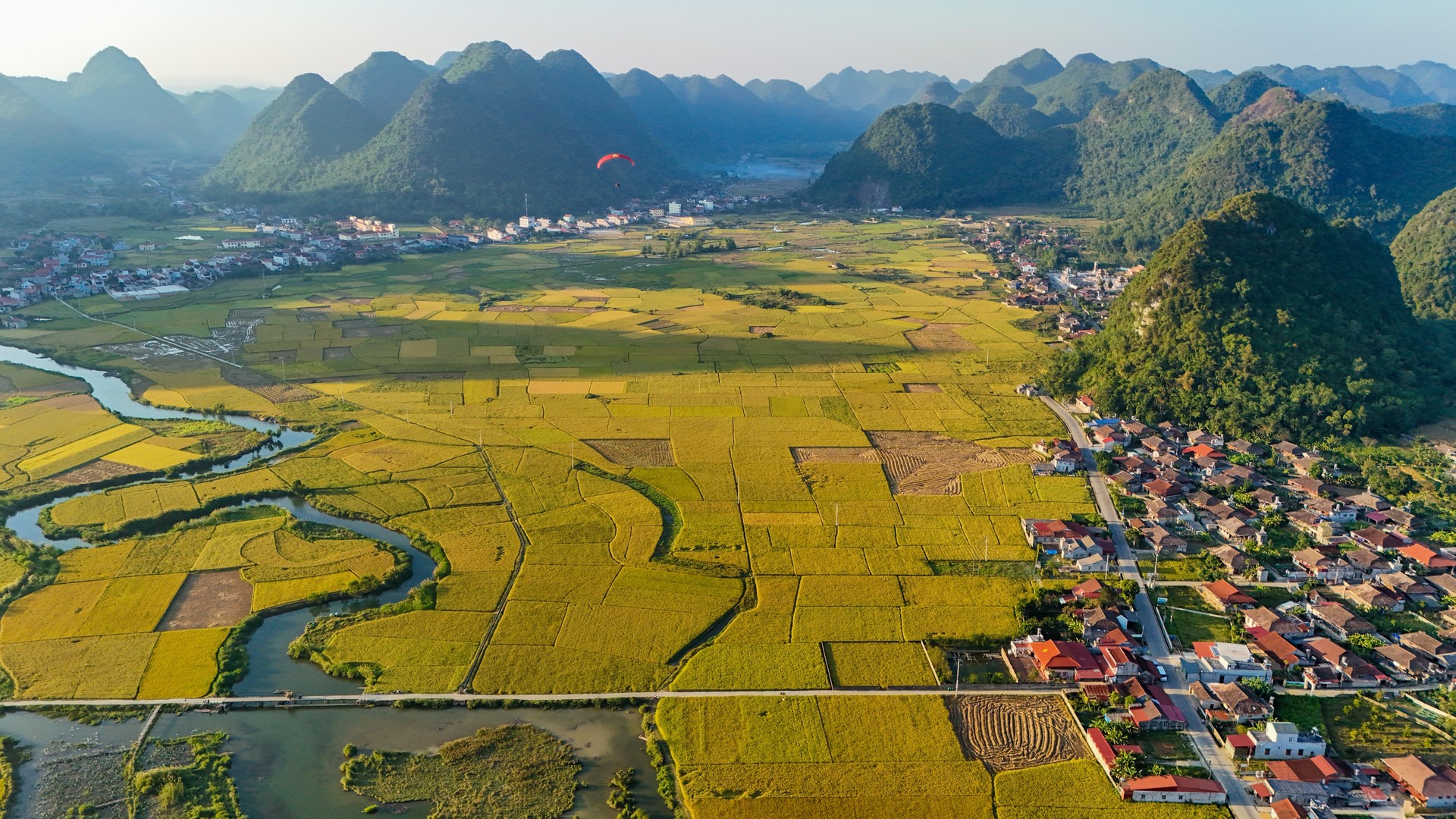Vì vậy, ngày thu hoạch lúa cũng không giống nhau. Bên cạnh vạt lúa chín vàng ươm, những thửa ruộng vừa mới trổ đòng hay đang gặt dở.