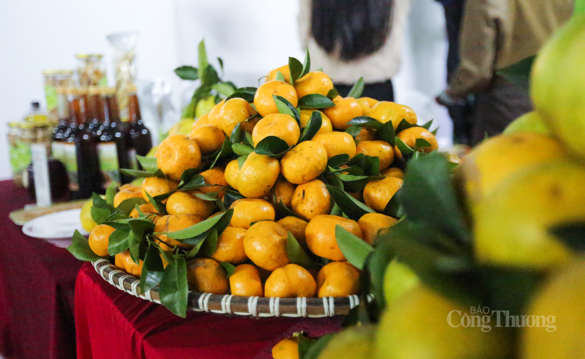 Ấn tượng các gian hàng tại Hội chợ Công Thương vùng Bắc Trung Bộ – Hà Tĩnh - 6