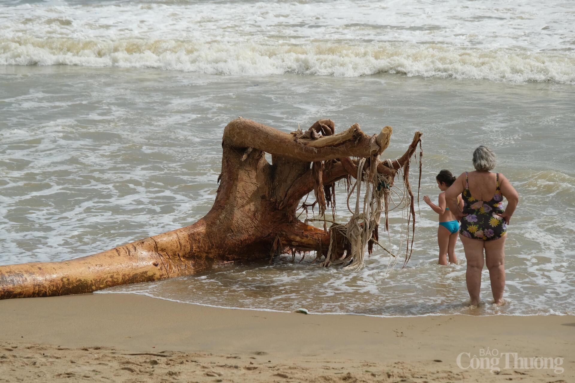 Nhiều khúc cây dài từ 5 - 10m, nặng hàng trăm kí bị sóng đánh dạt vào bờ biển khiến việc di chuyển trở nên khó khăn. Ảnh: Lê Sơn