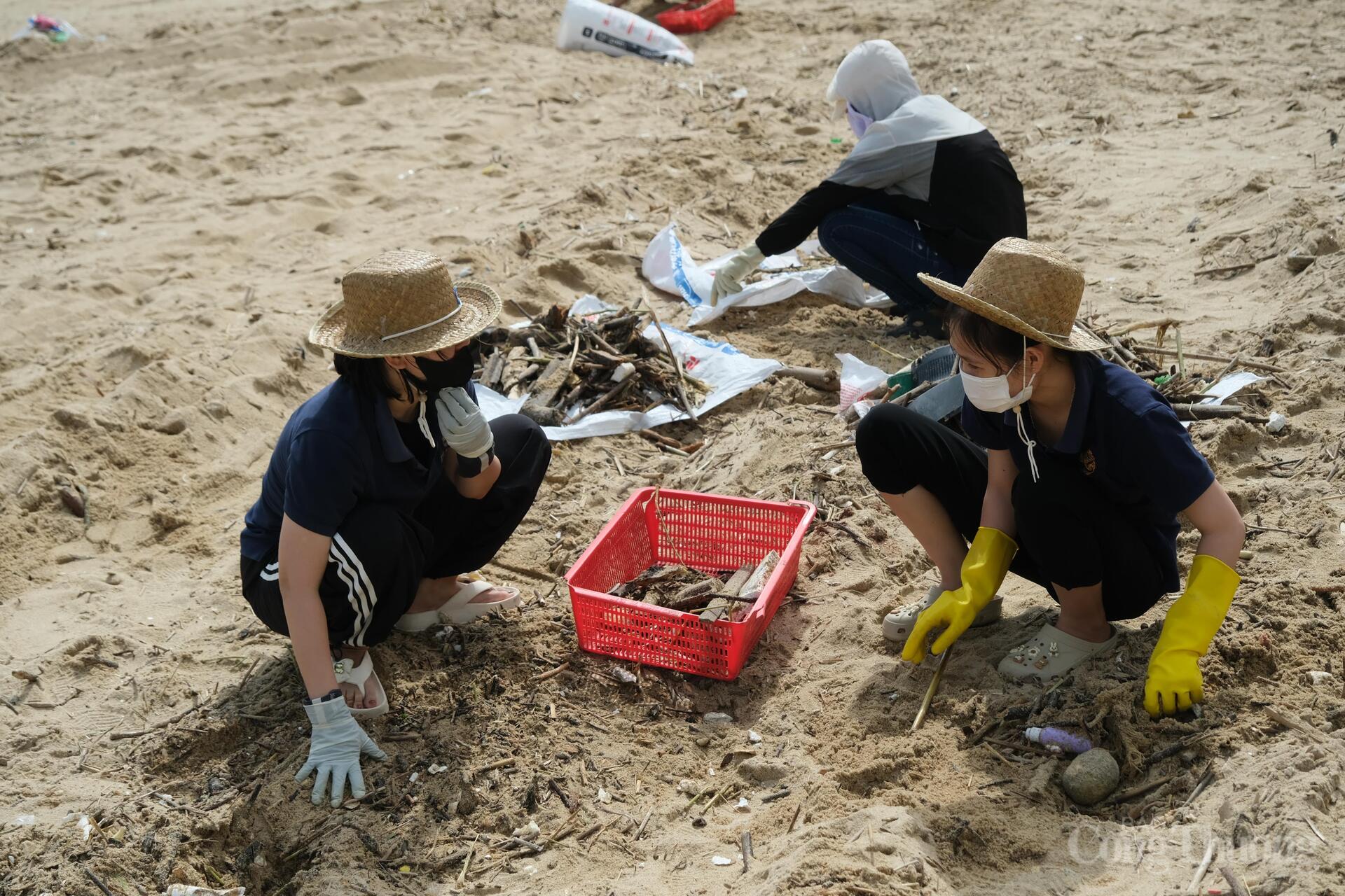 Nhóm tình nguyện viên tham gia thu gom rác, góp phần làm sạch bãi biển Trần Phú Nha Trang sau mưa lũ. Ảnh: Lê Sơn