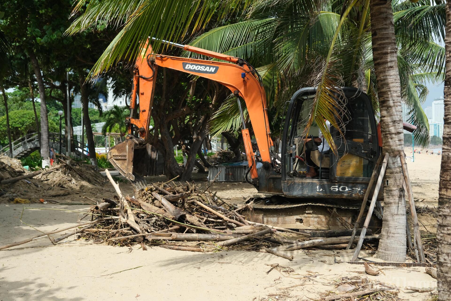 Hiệp hội Du lịch Khánh Hòa cũng huy động nhân lực và các phương tiện máy múc tham gia làm sạch bờ biển Nha Trang. Ảnh: Lê Sơn