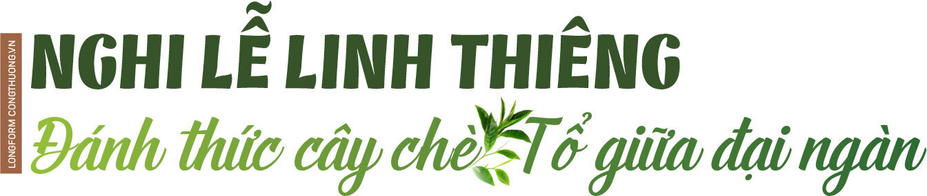 Longform | Hành trình về miền trà Shan Tuyết cổ thụ - 1