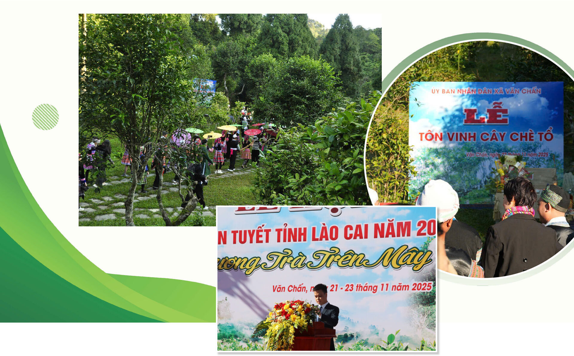 Longform | Hành trình về miền trà Shan Tuyết cổ thụ - 2