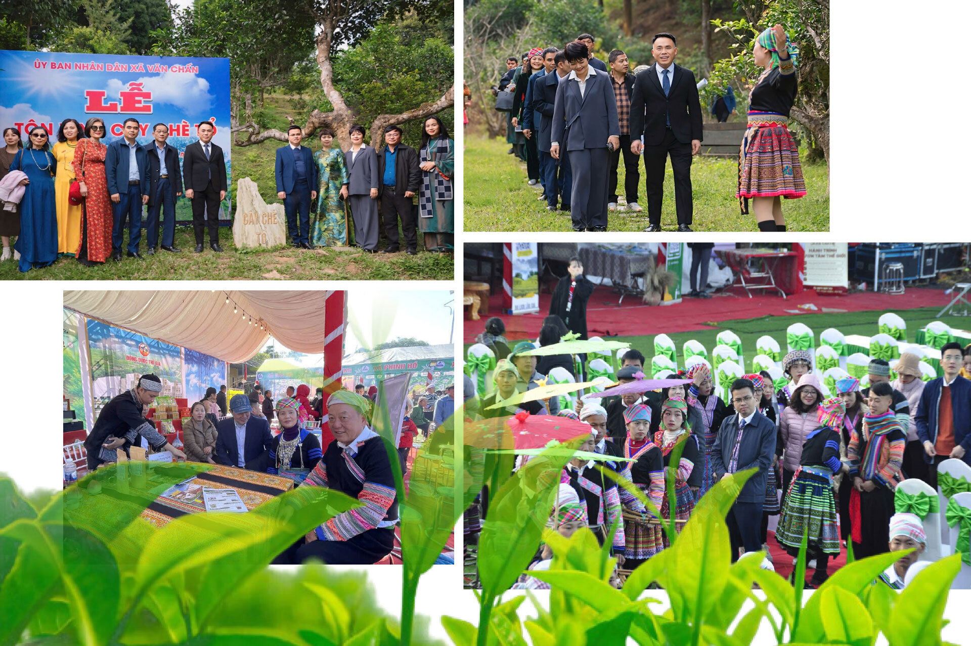 Longform | Hành trình về miền trà Shan Tuyết cổ thụ - 10