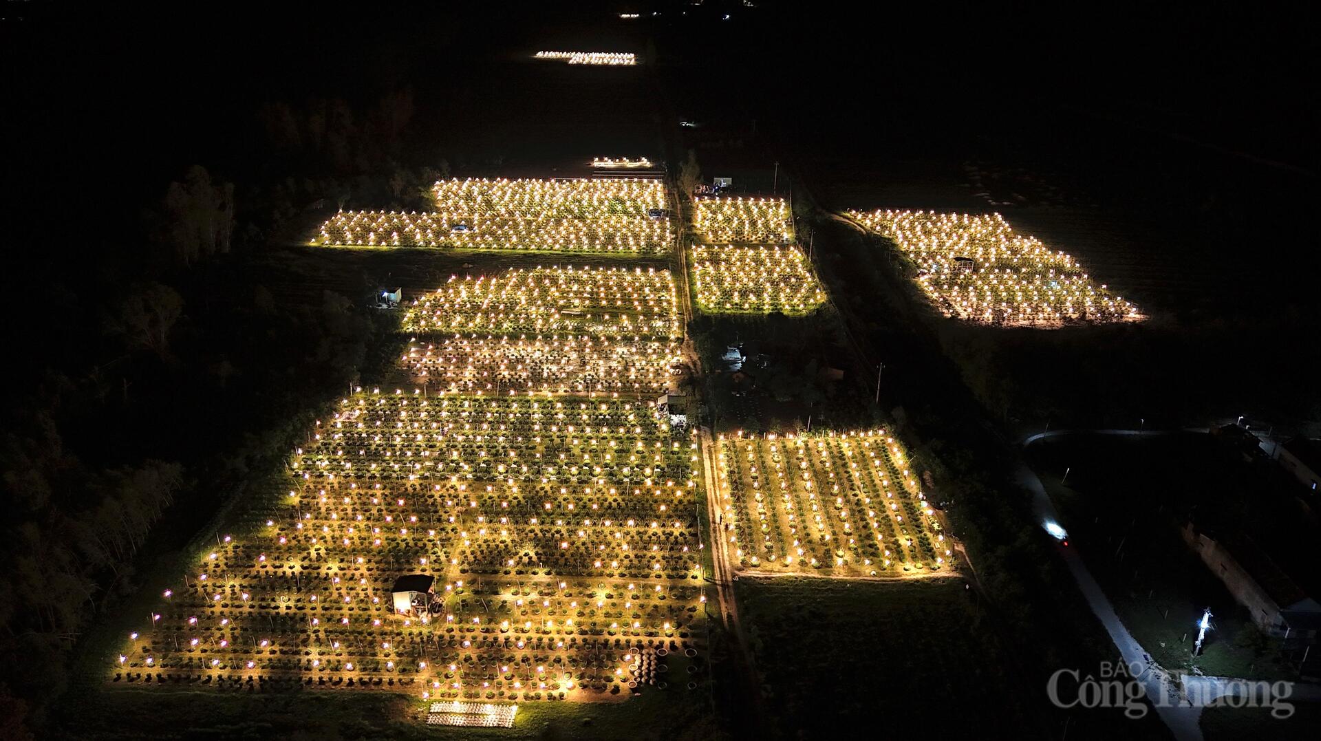 Nhà vườn Gia Lai xuyên đêm chong đèn thức cùng hoa Tết - 1