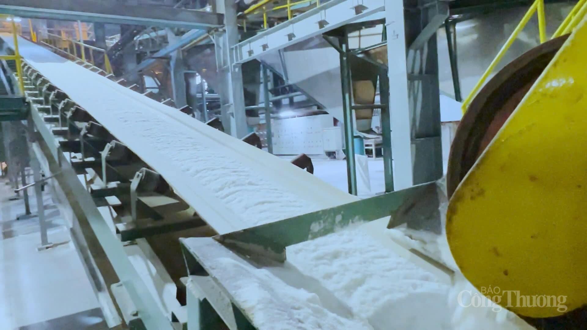 Toàn cảnh cụm sản xuất mía - đường - điện lớn nhất cả nước - 13