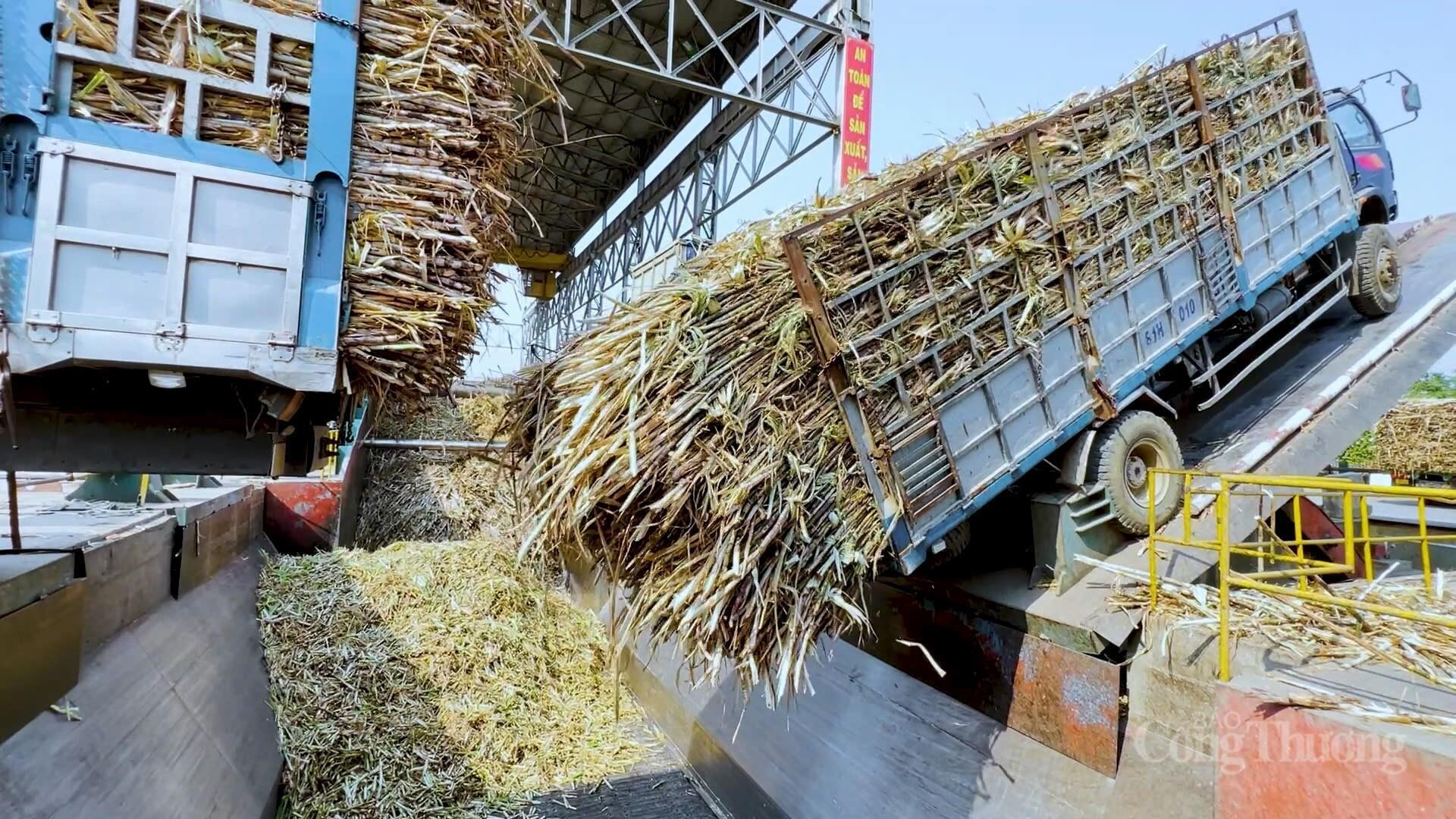 Toàn cảnh cụm sản xuất mía - đường - điện lớn nhất cả nước - 7