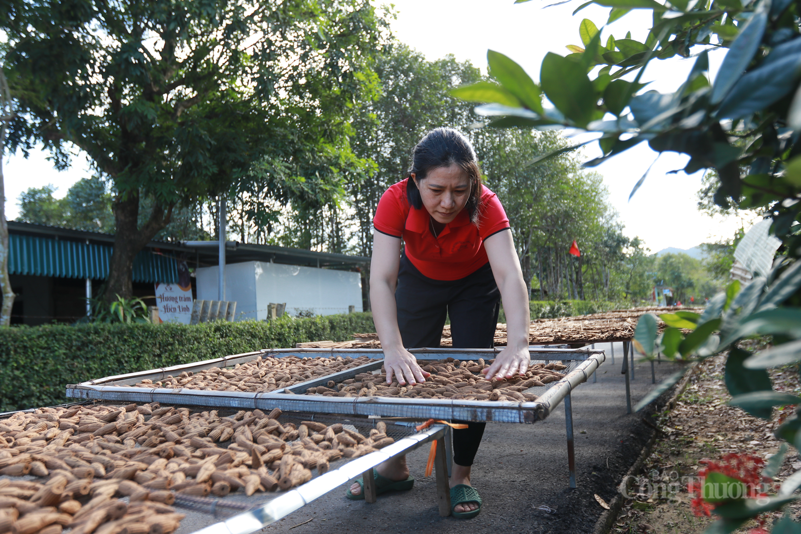 Đặc sản Hà Tĩnh và cơ hội 'gõ cửa' thị trường số - Bài 1: Tinh hoa gắn liền thương hiệu - 6