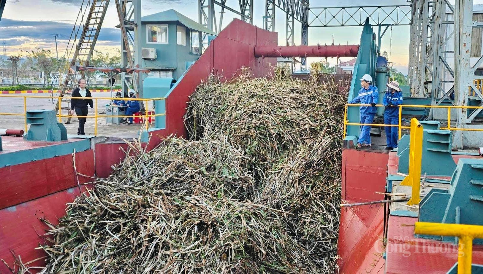 Toàn cảnh cụm sản xuất mía - đường - điện lớn nhất cả nước - 6