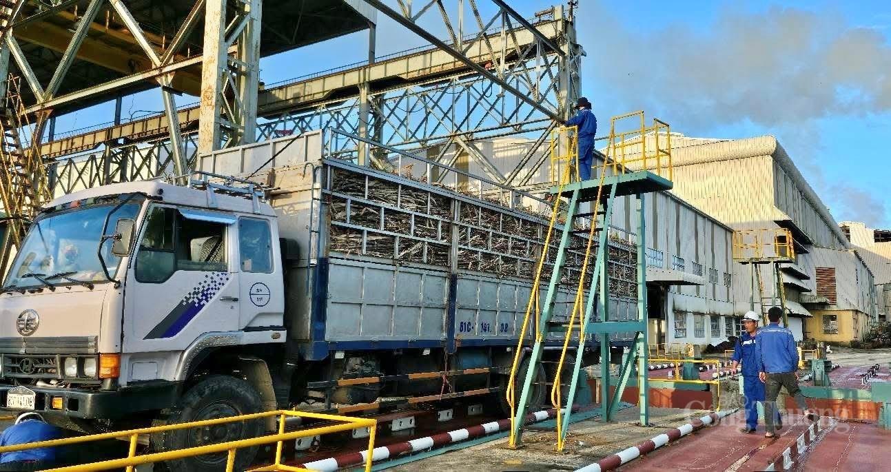Toàn cảnh cụm sản xuất mía - đường - điện lớn nhất cả nước - 5